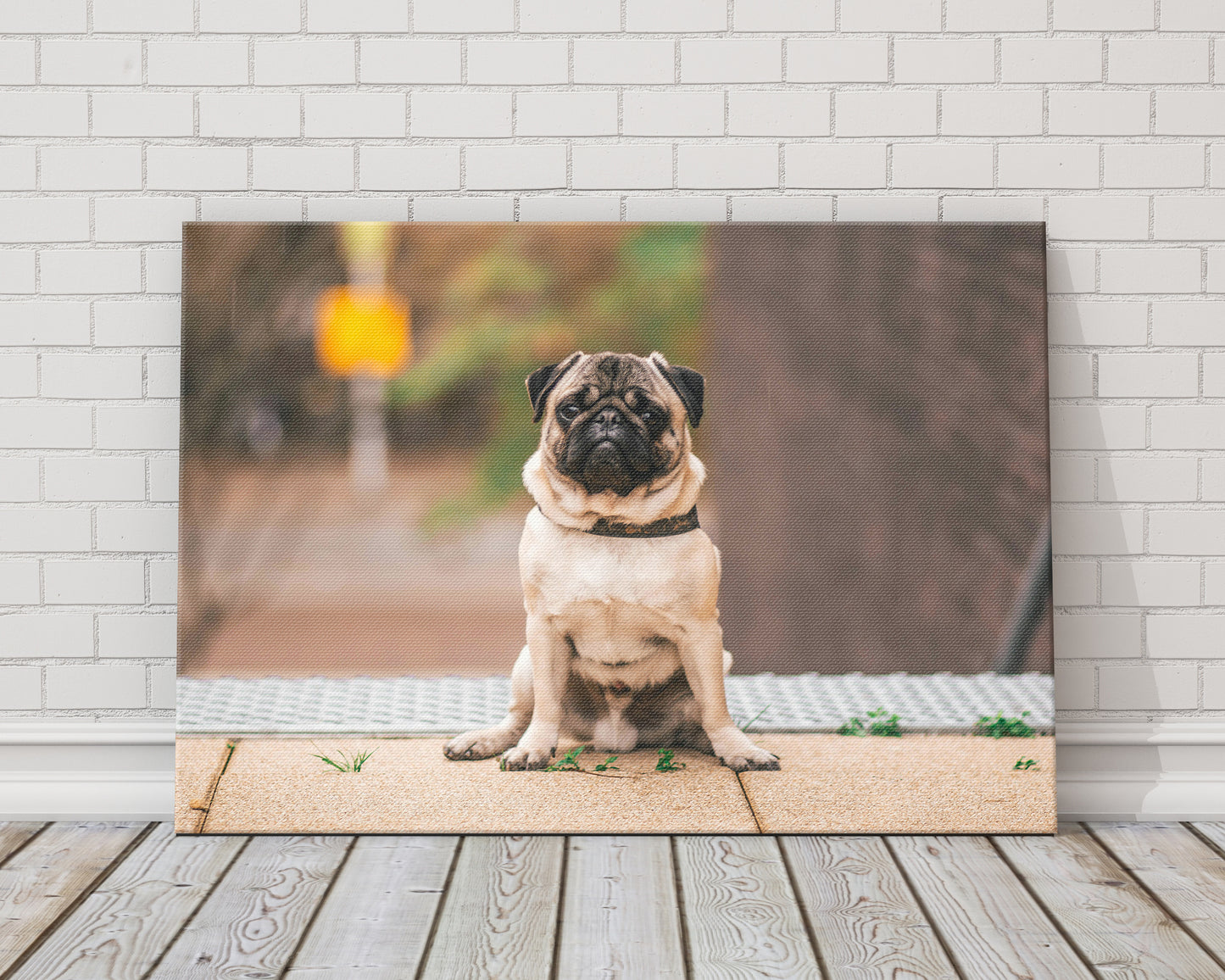 Custom Pet Photo Canvas