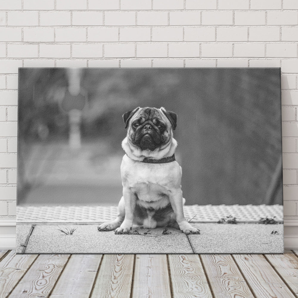 
                  
                    Custom Pet Photo Canvas
                  
                