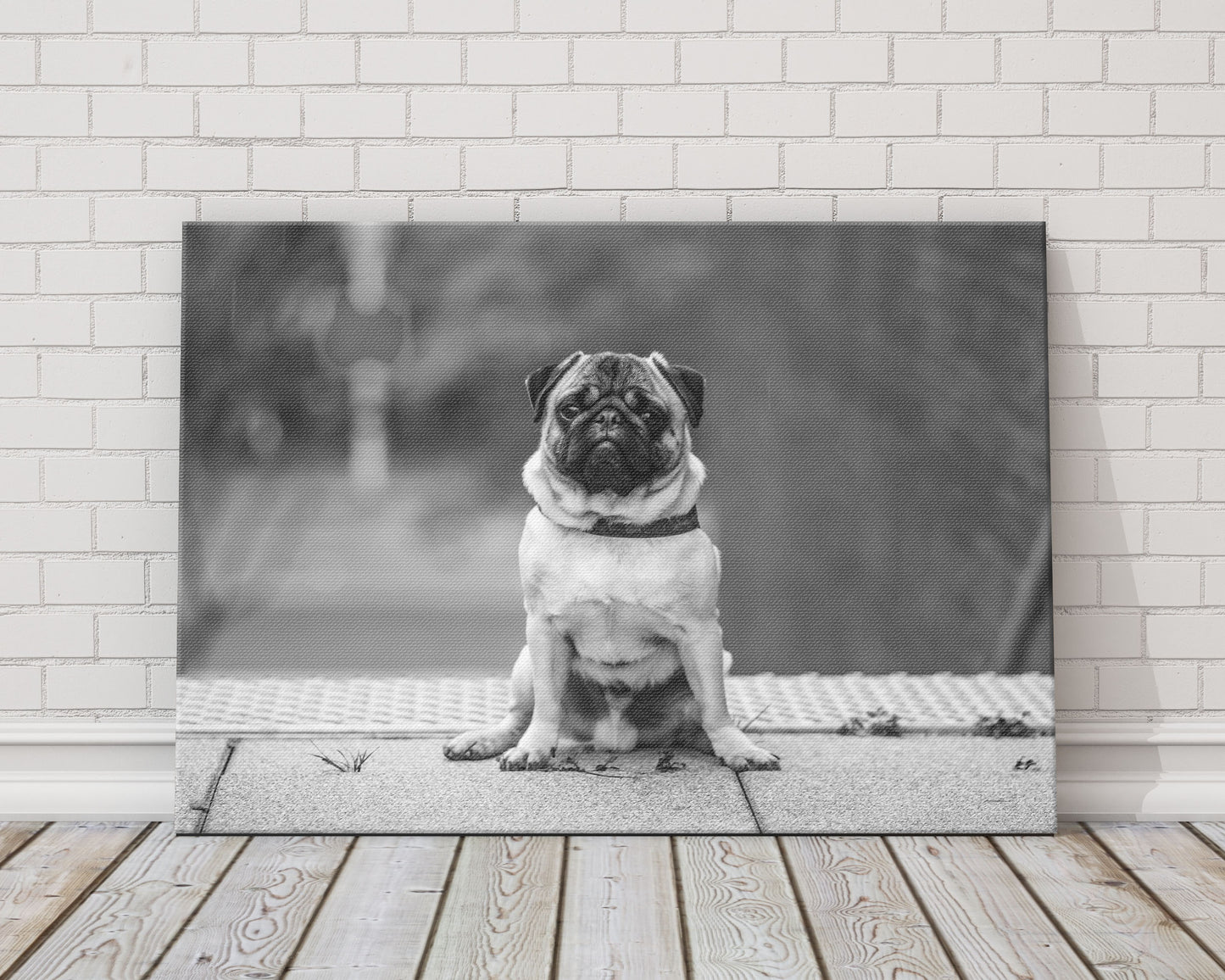 
                  
                    Custom Pet Photo Canvas
                  
                