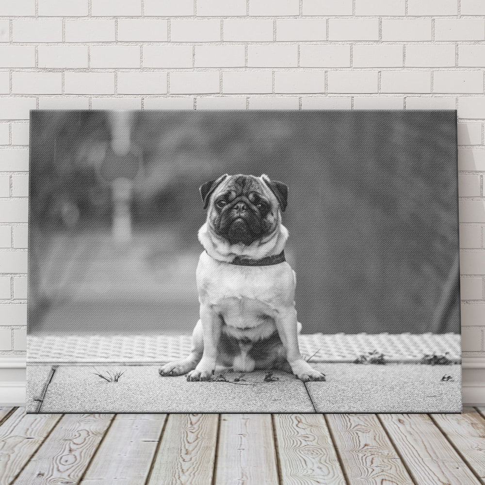 
                  
                    Black and White Custom Canvas
                  
                