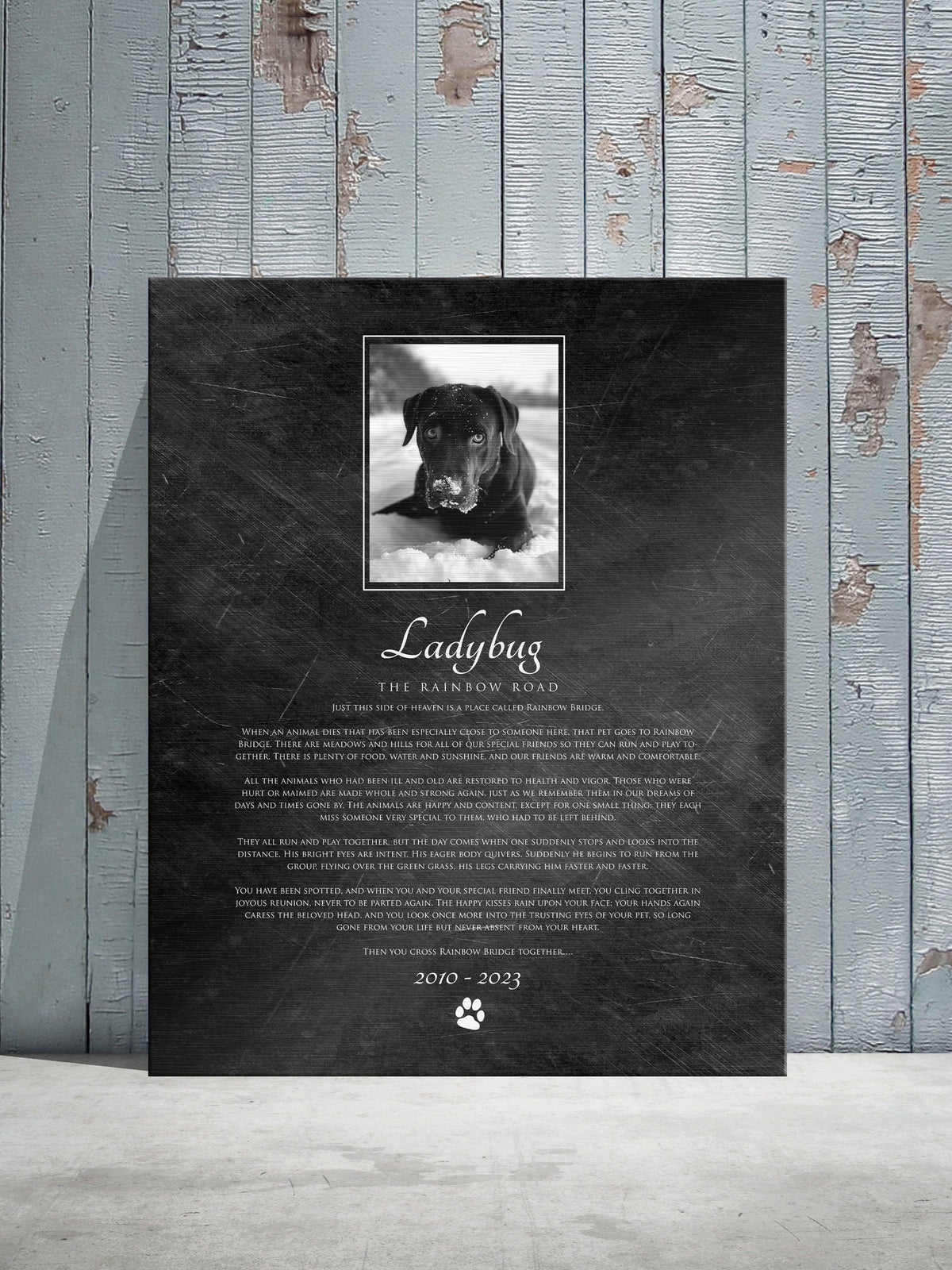 The Rainbow Bridge, Pet Loss Plaque - HoneycombProverbs - Pet Portraits - Photo Plaques