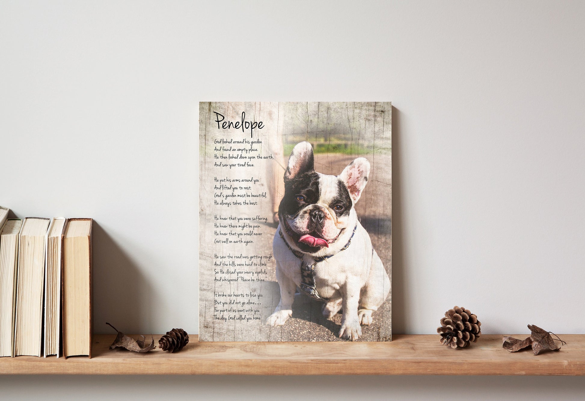 Rustic Pet Portrait on Wood - HoneycombProverbs - Religious Home & Decor - Photo Plaques