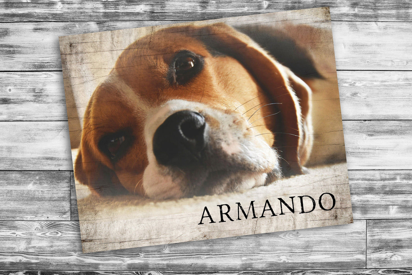 Rustic Pet Portrait on Wood - HoneycombProverbs - Religious Home & Decor - Photo Plaques