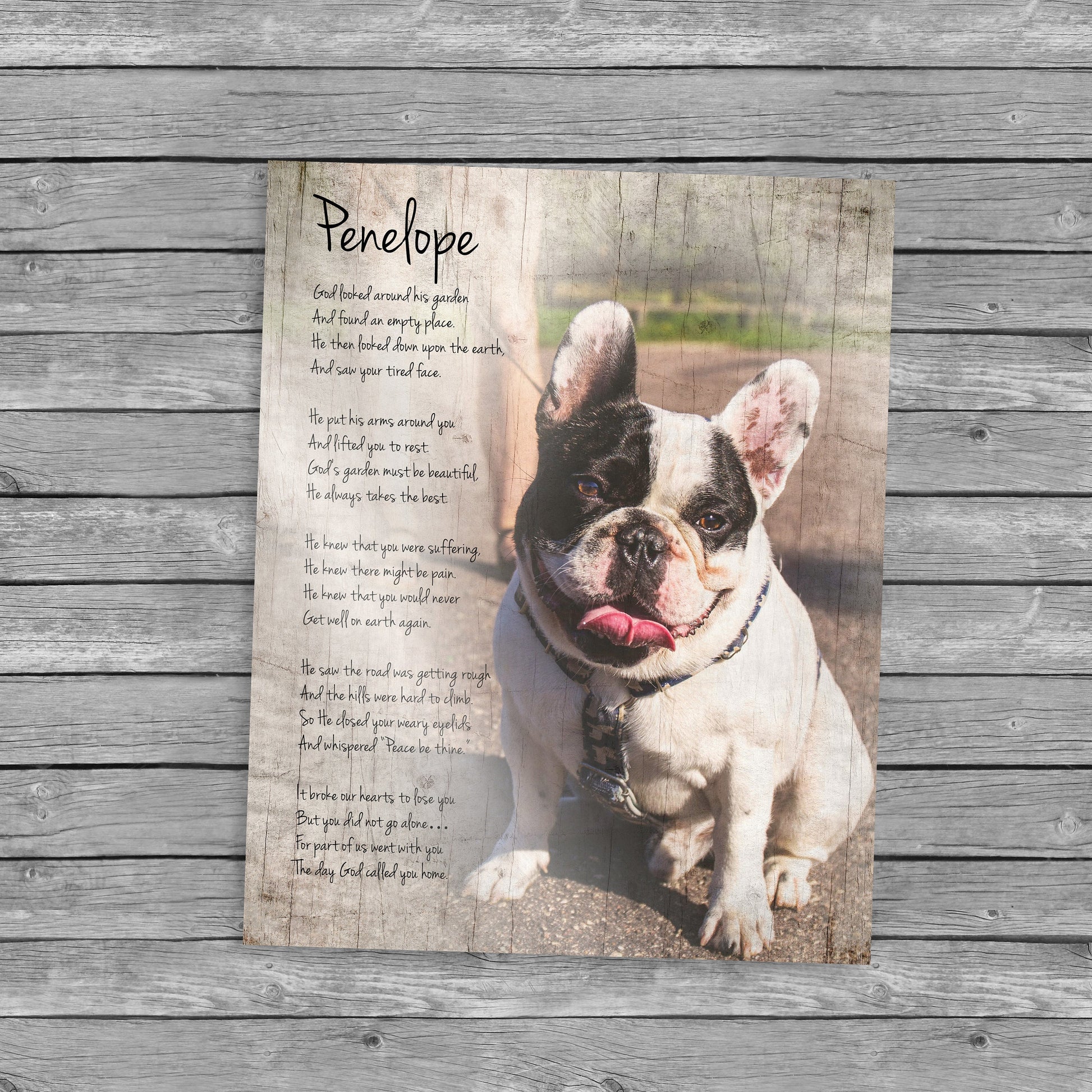 Rustic Pet Portrait on Wood - HoneycombProverbs - Religious Home & Decor - Photo Plaques