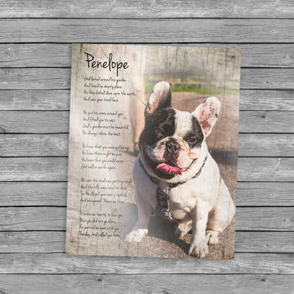 Rustic Pet Portrait on Wood - HoneycombProverbs - Signs - Photo Plaques