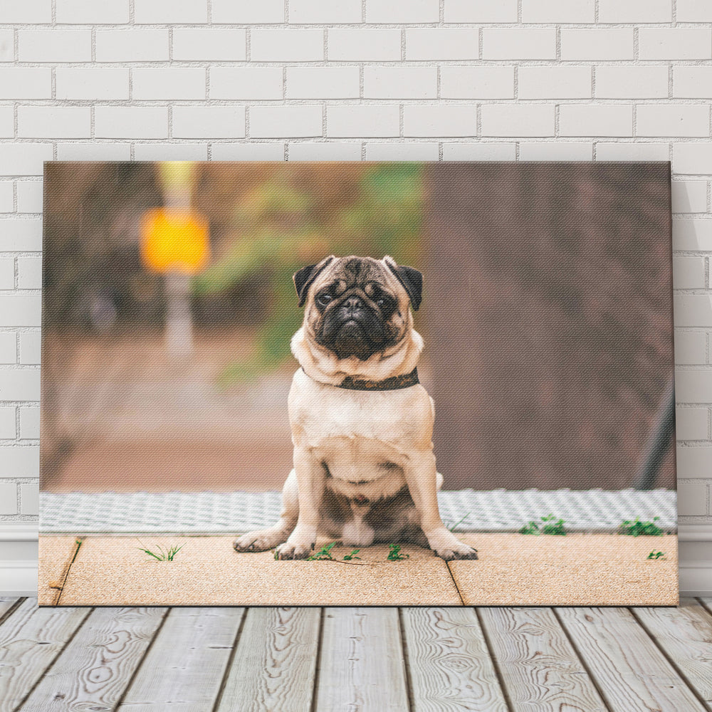 
                  
                    Custom Pet Photo Canvas
                  
                