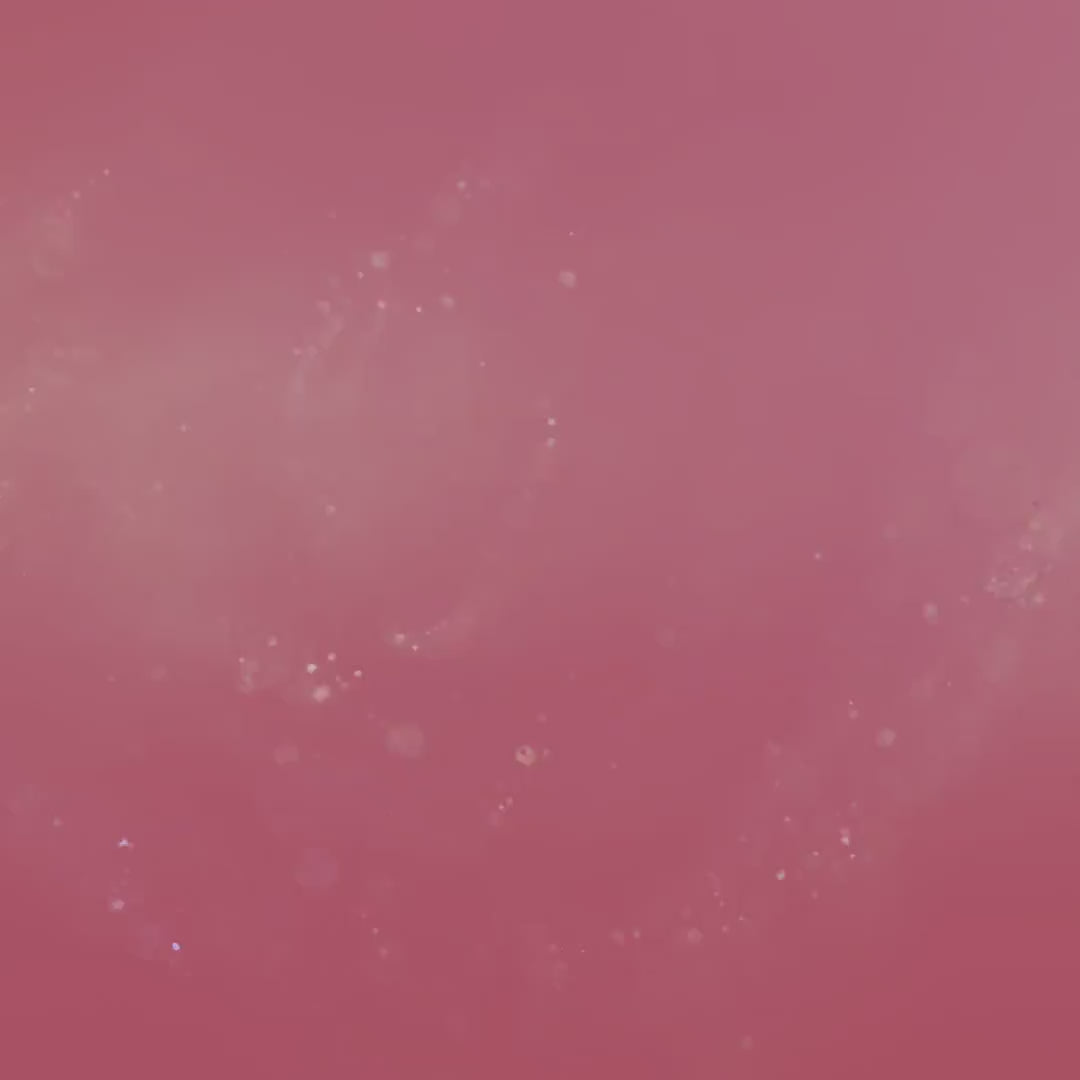 Bronze Photo and Song Vinyl Record Art