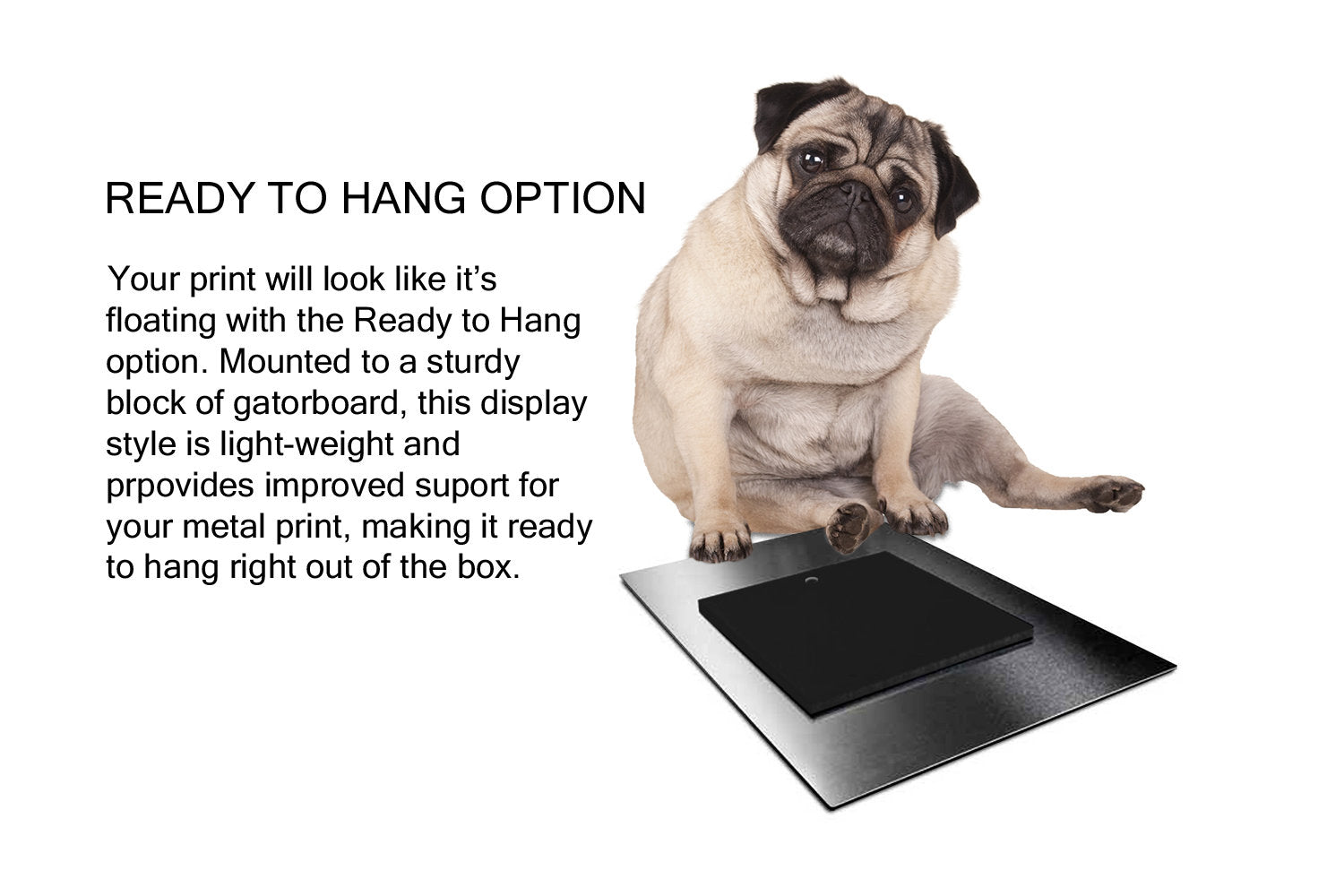 Dog Rules, Sign, Metal, Framed, Gift, for, Pet, Dog, Dog lovers, The dog is not allowed in the house, House-warming, birthday, new, puppy