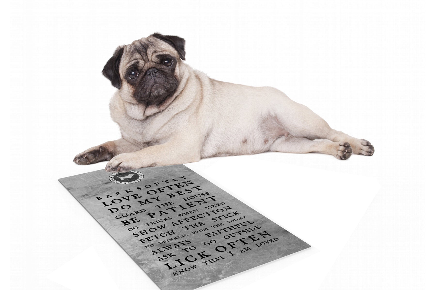 Personalized, Dog Rules, Metal, Framed, Gift, for, Pet, Dog, Dog lovers, Bark Softly, Poster, Print, art,House-warming, birthday, new, puppy