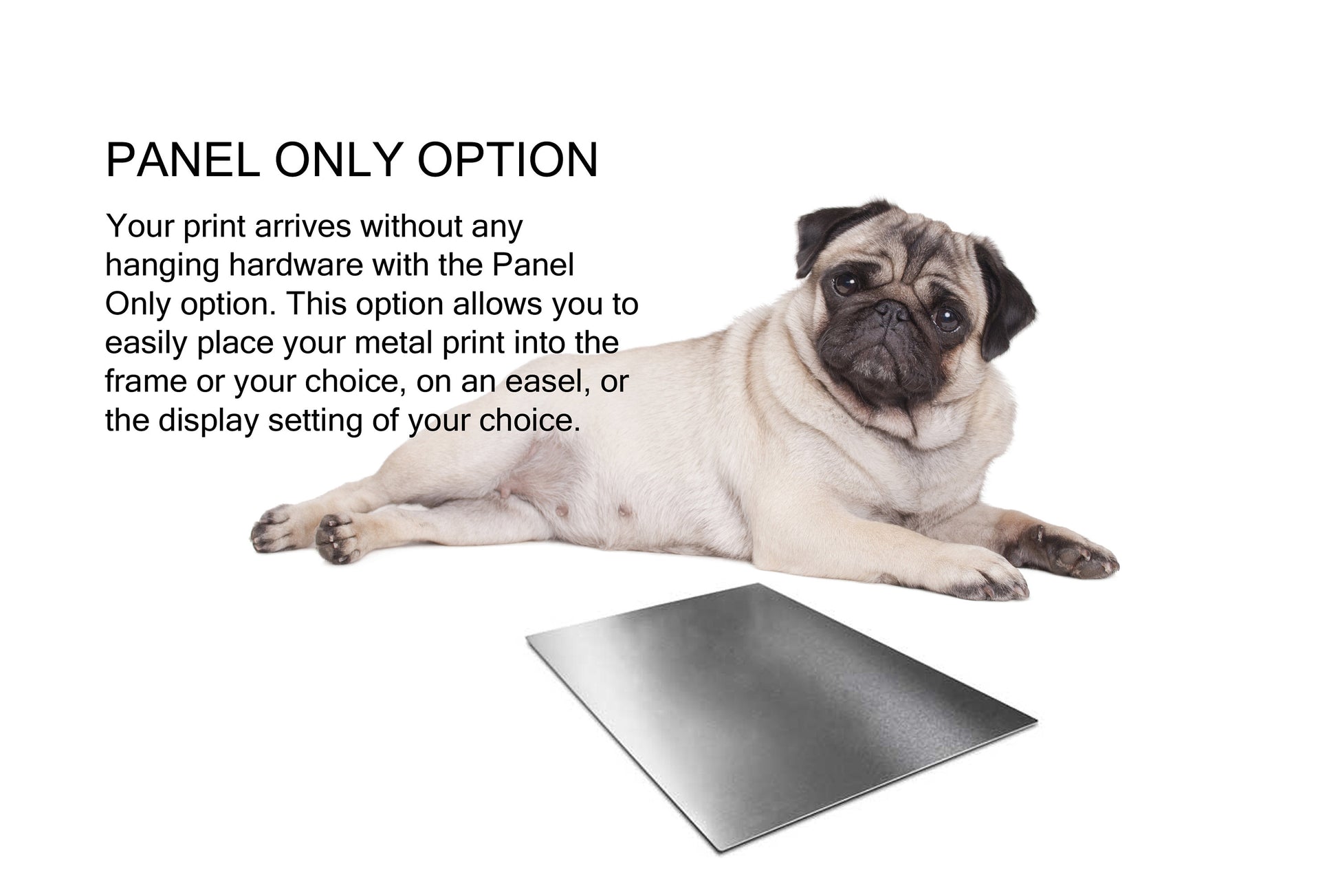 Personalized, Dog Rules, Metal, Framed, Gift, for, Pet, Dog, Dog lovers, Bark Softly, Poster, Print, art,House-warming, birthday, new, puppy