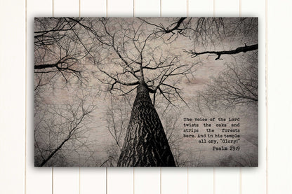 Wood Inspired Scripture Art: Psalm 29:9 on Canvas - Honeycomb Proverbs - Wedding gift ideas - paper anniversary gifts 
